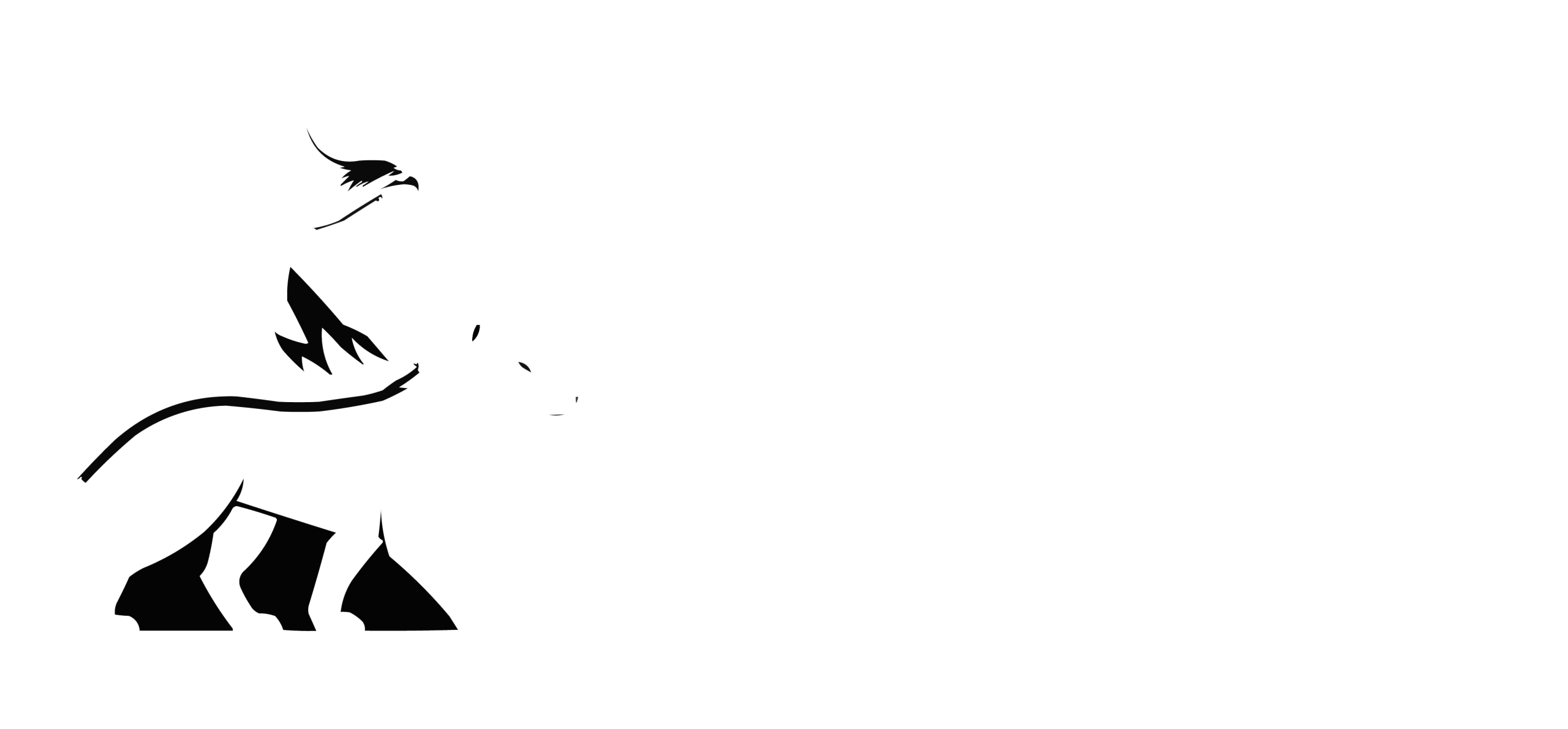 Türkçü Arşiv